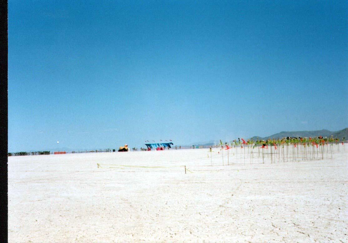 burningmancircle