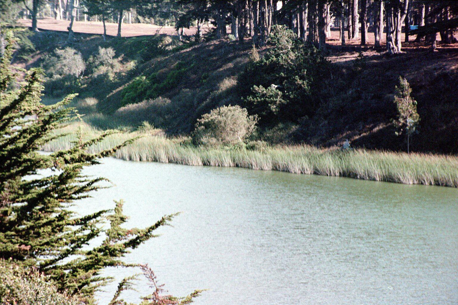 LakeHarris2