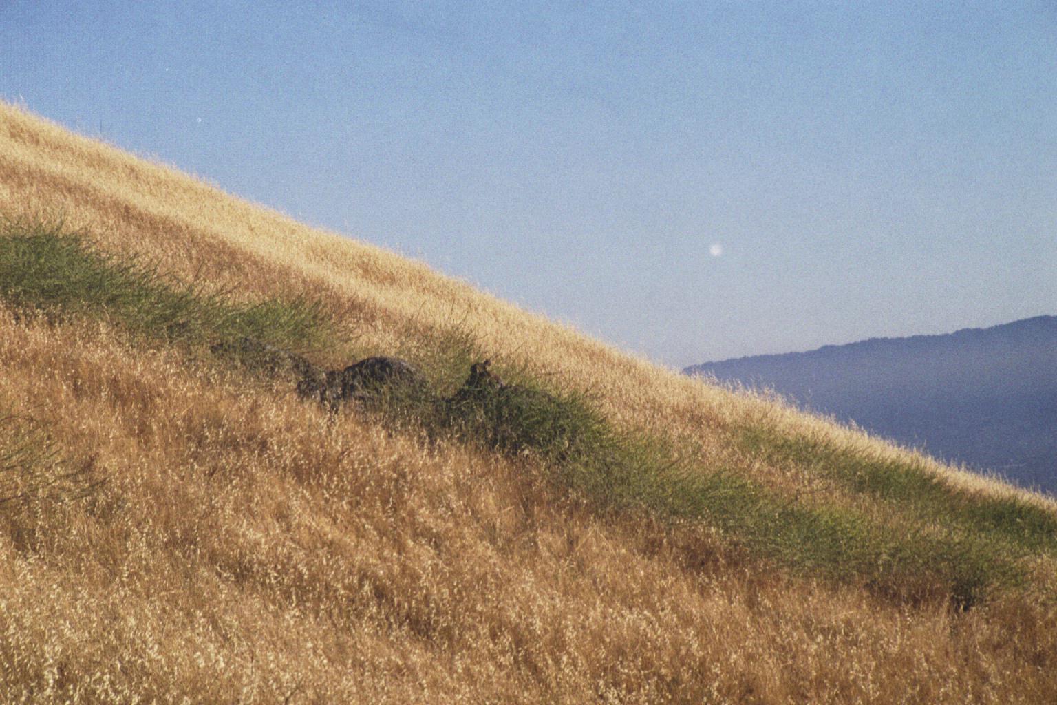 MissionPeakFremont072003-1