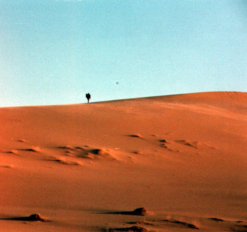 sandDune04112003-4