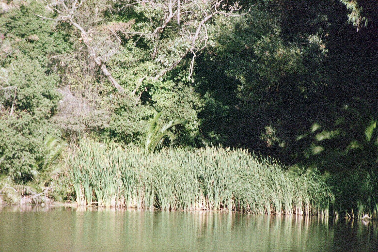 ohloneLake1