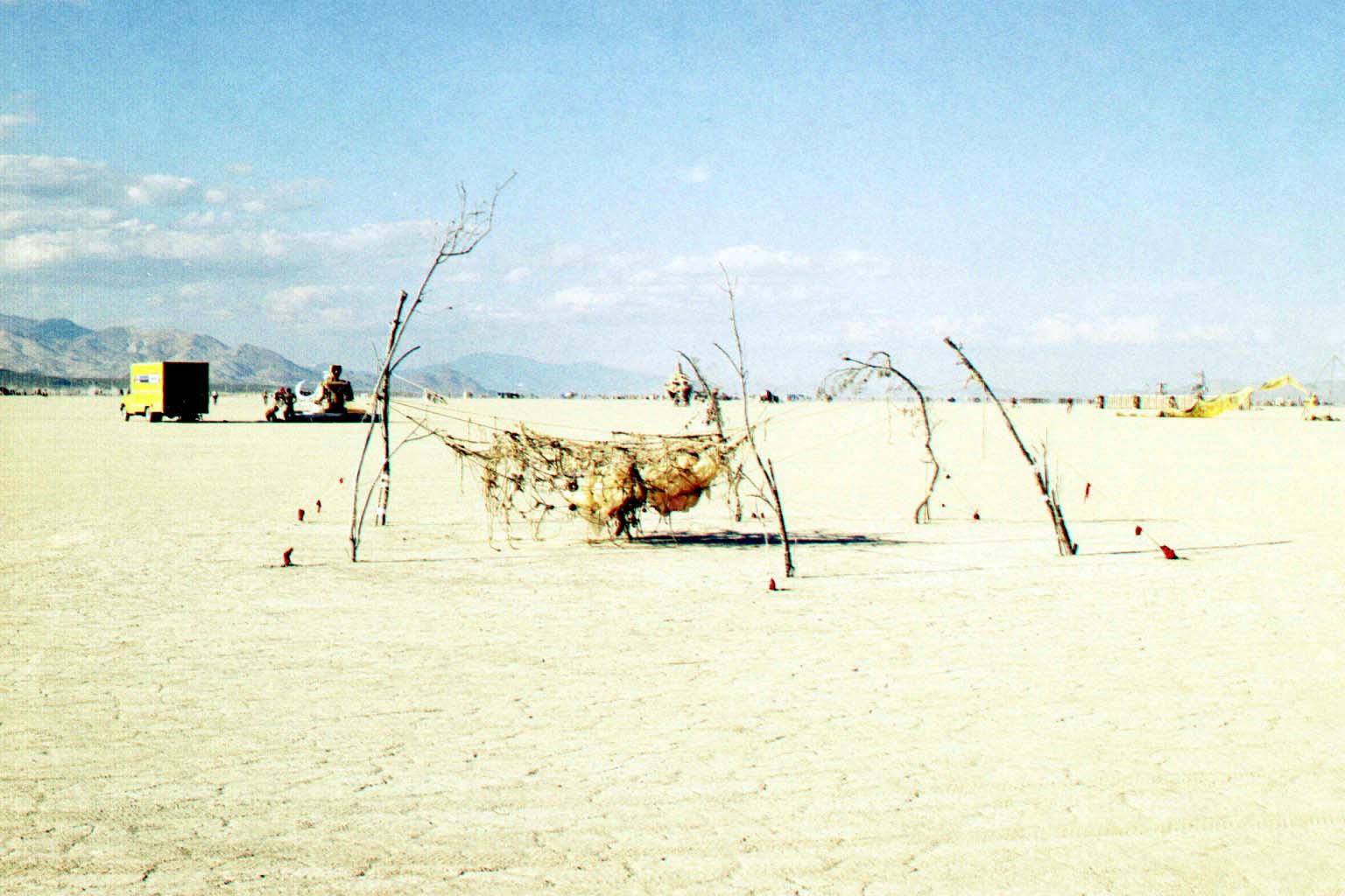 burningmanDryTree