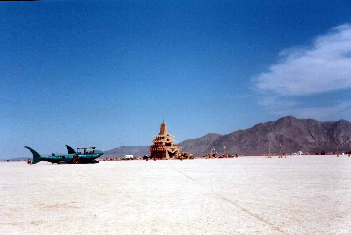 burningmanGreenShark