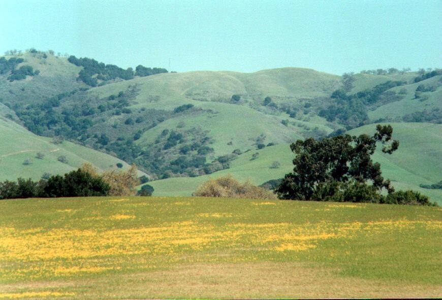 SanJoseCA01