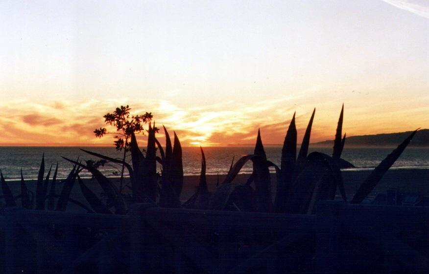 santaMonica20