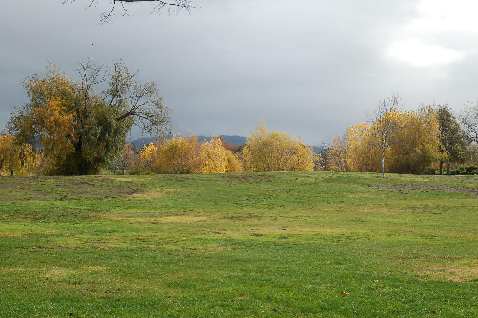 DSC 0006