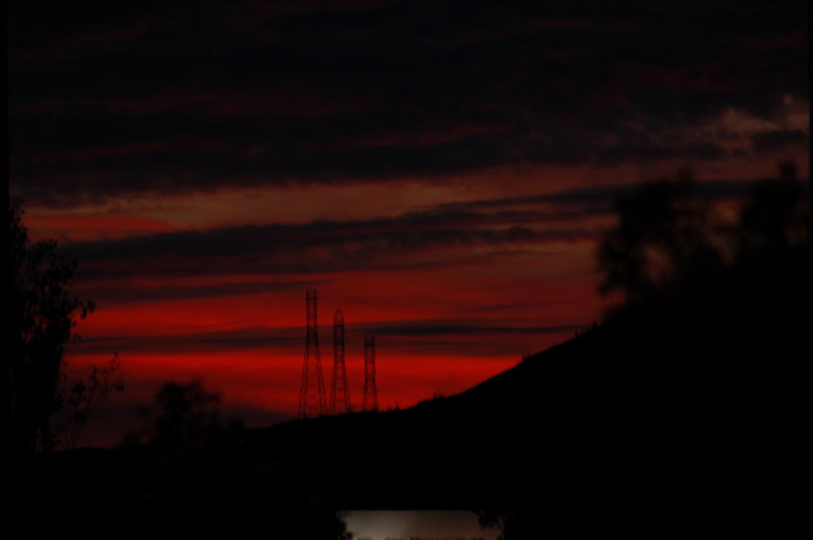 DSC 0010