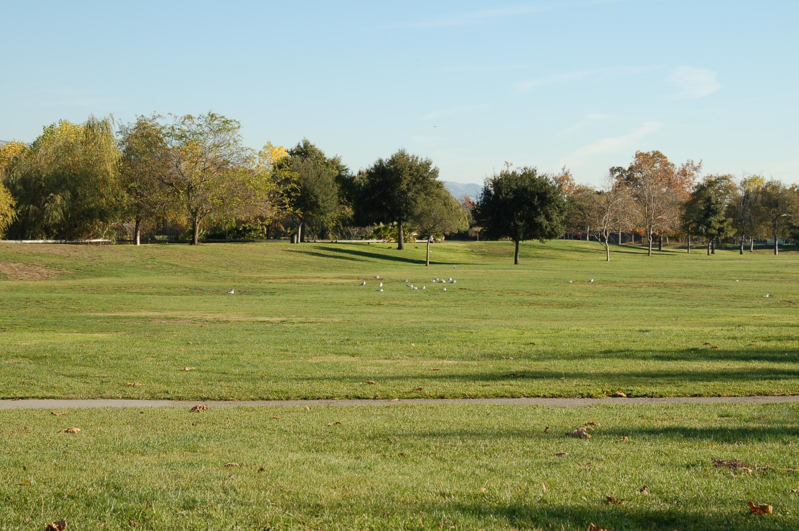 DSC 0001