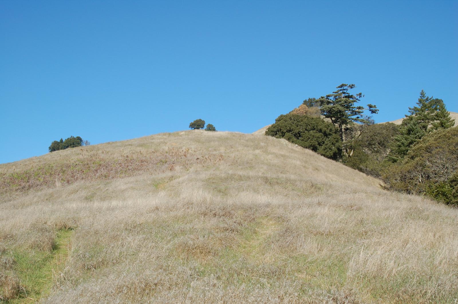 DSC 0008