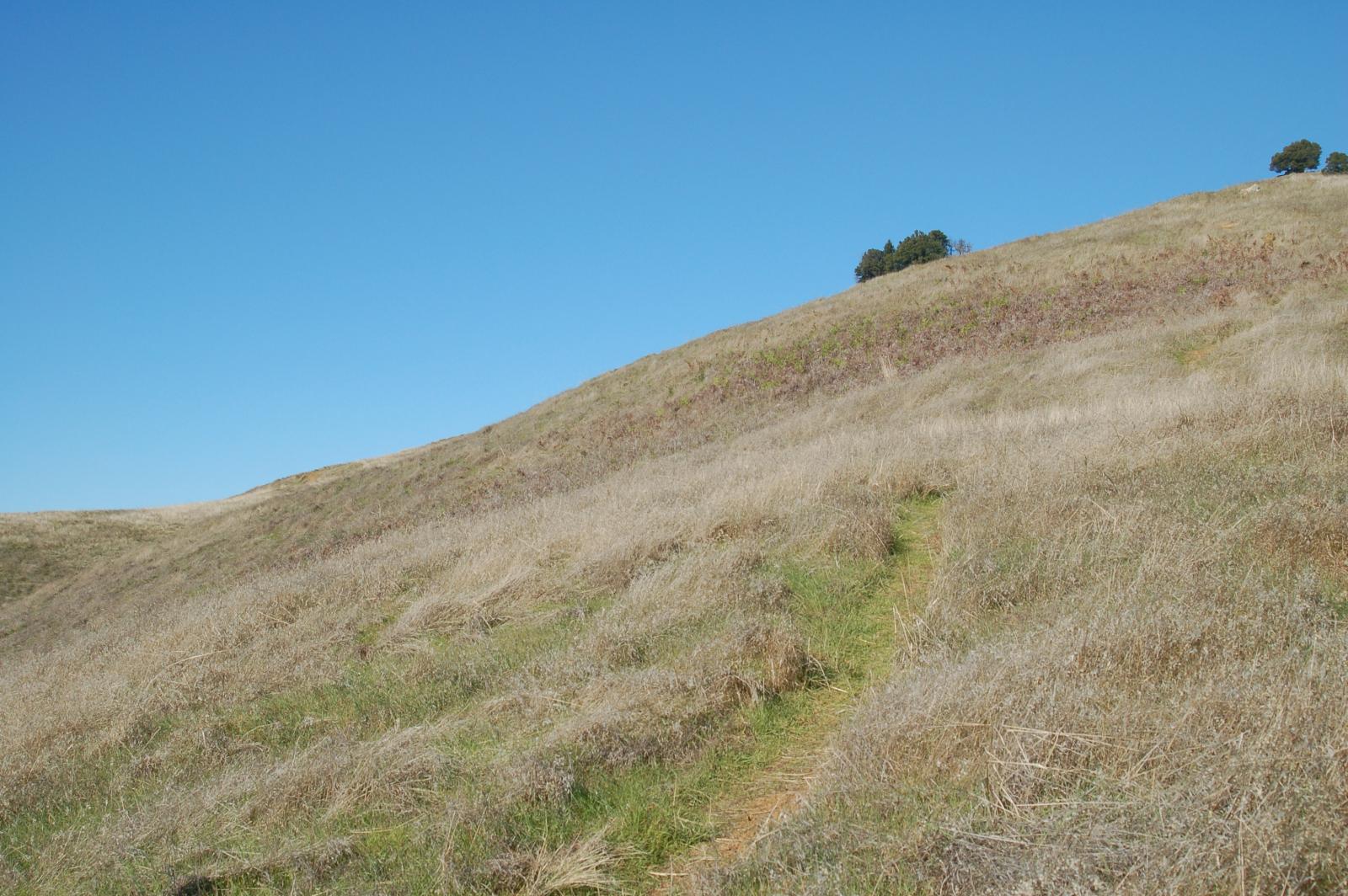 DSC 0009