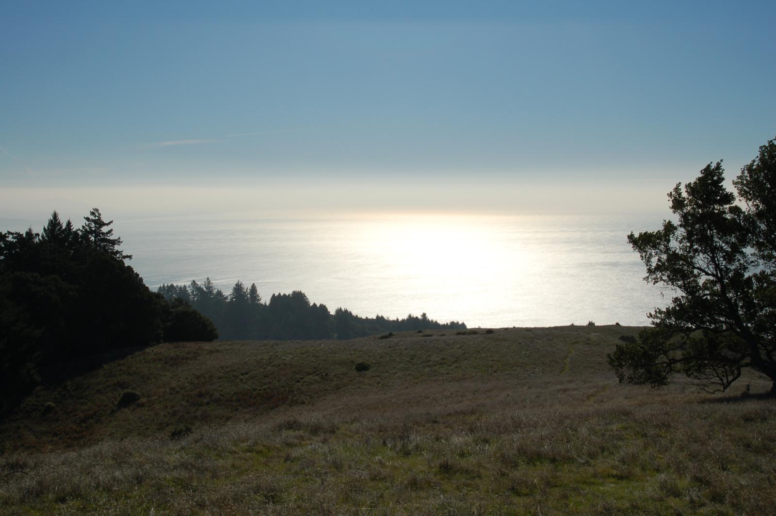 DSC 0021