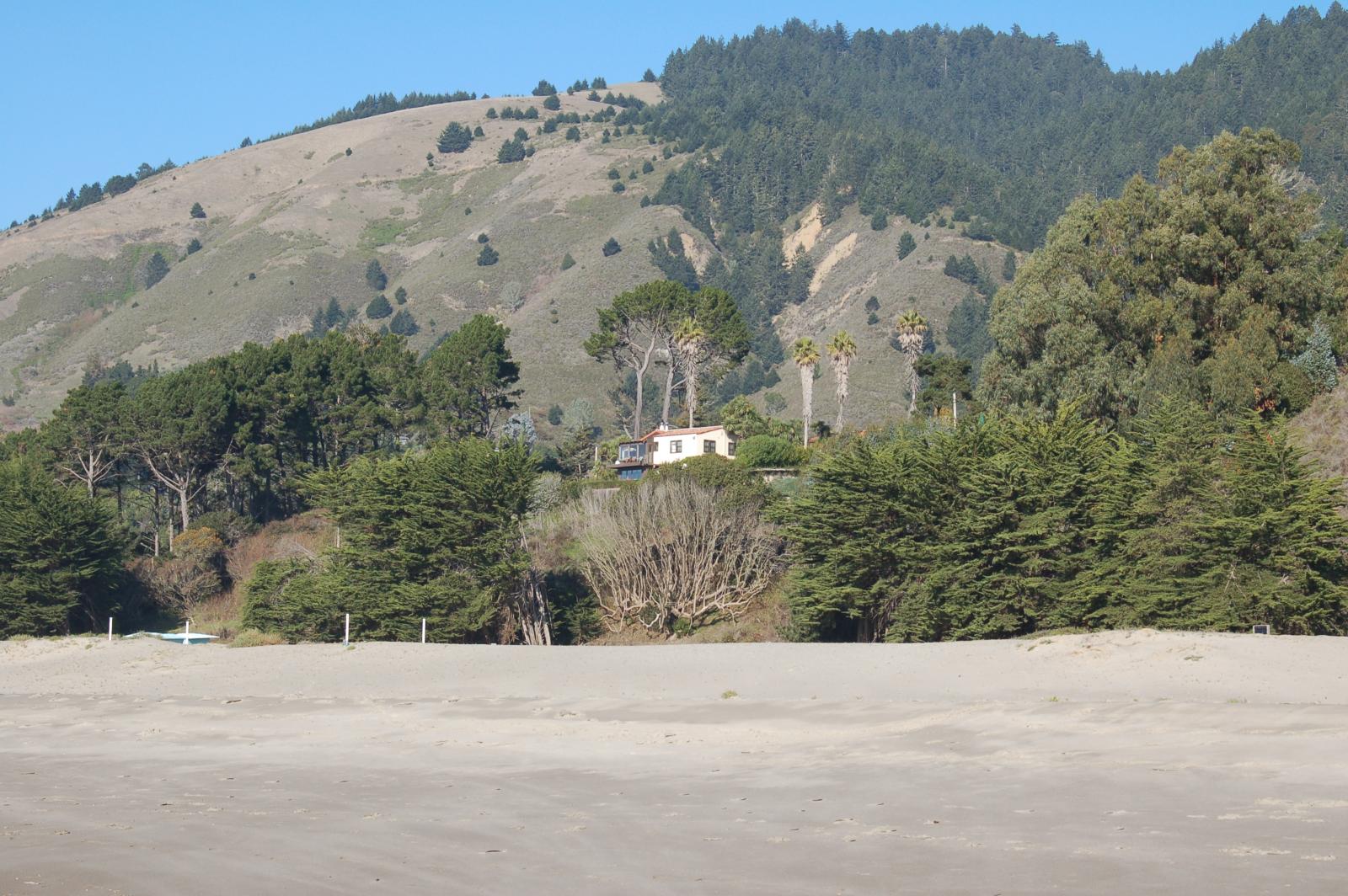 DSC 0051