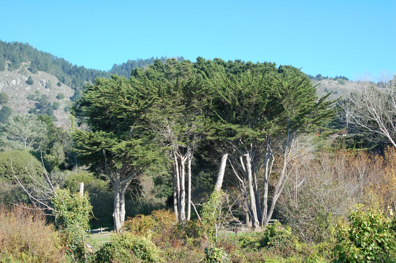 DSC 0058