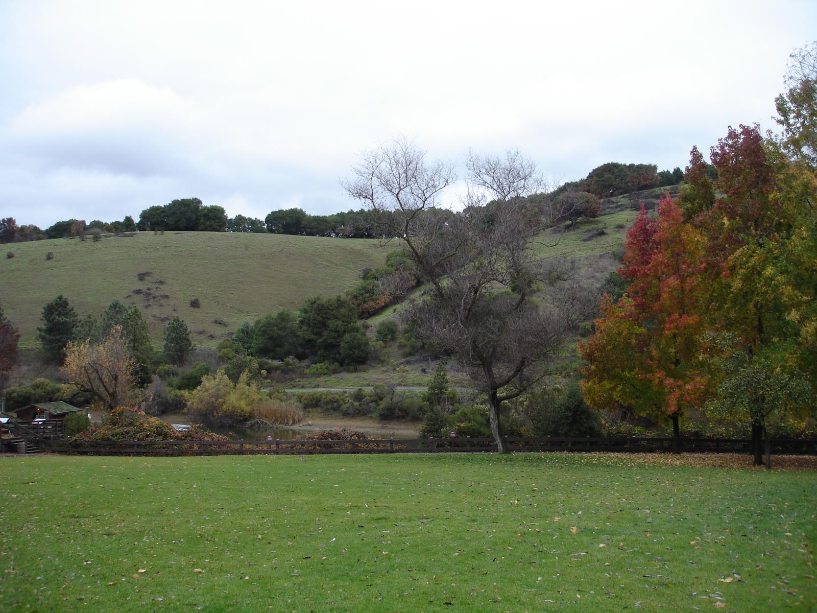 DSC03477