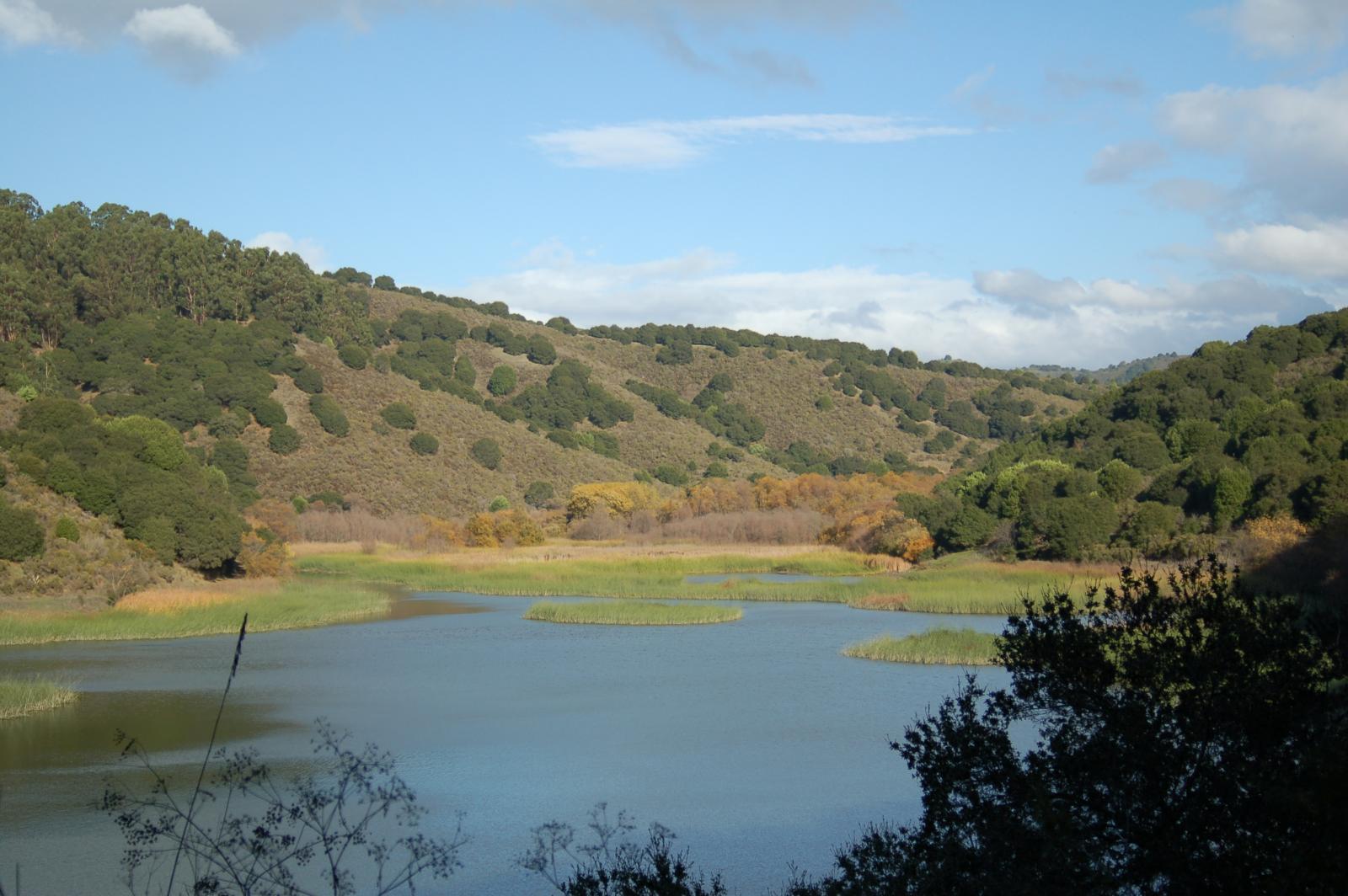 DSC 0101