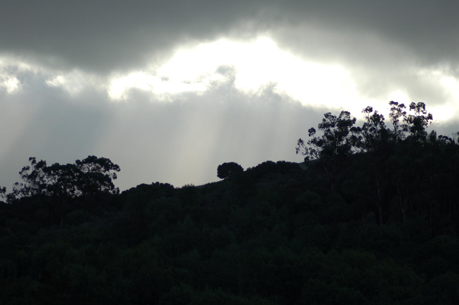 DSC 0134