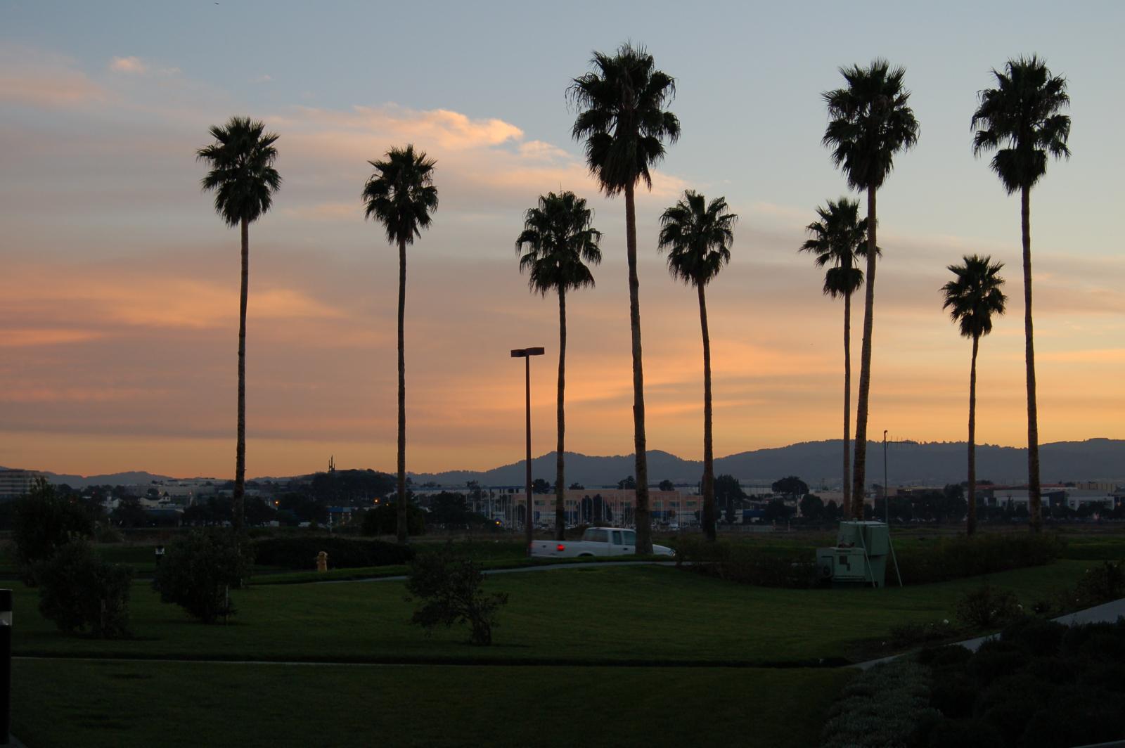 DSC 0548