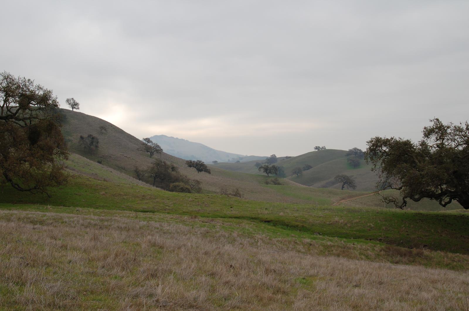 DSC 0600