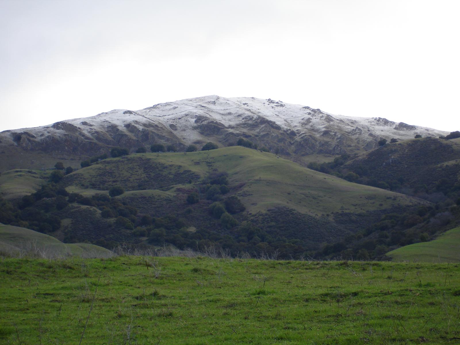 DSC00512