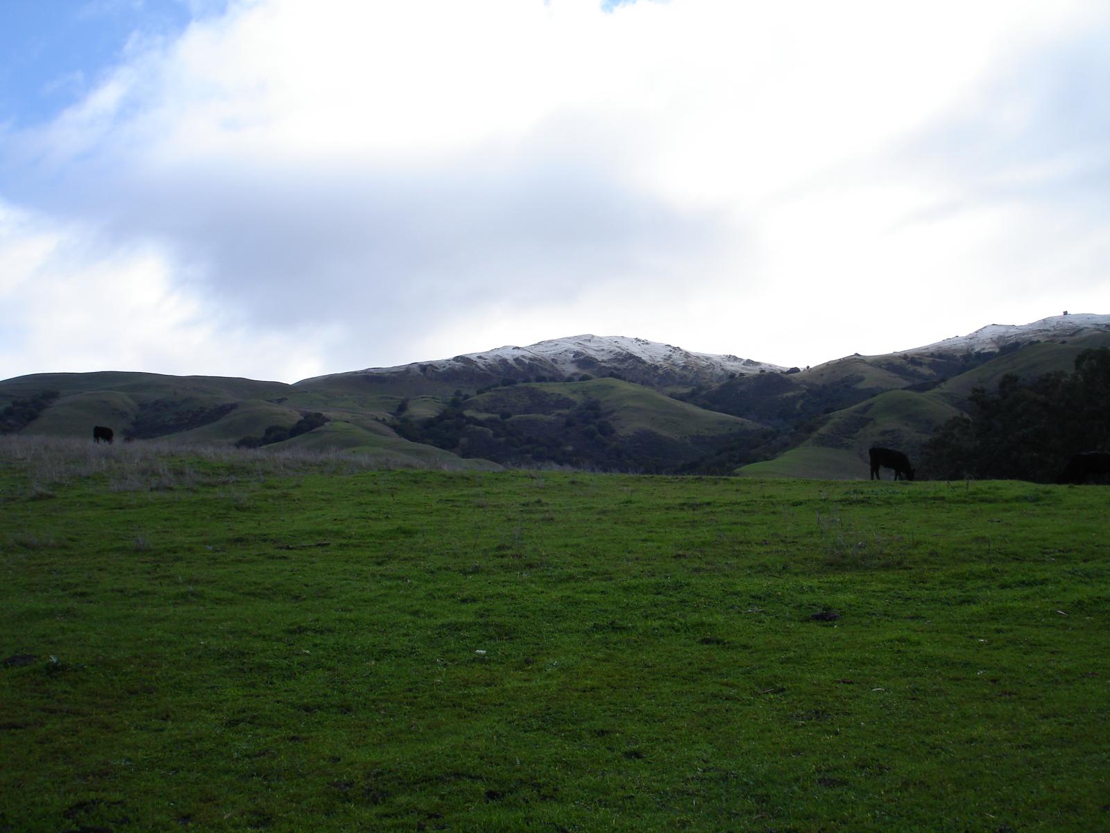 DSC00513