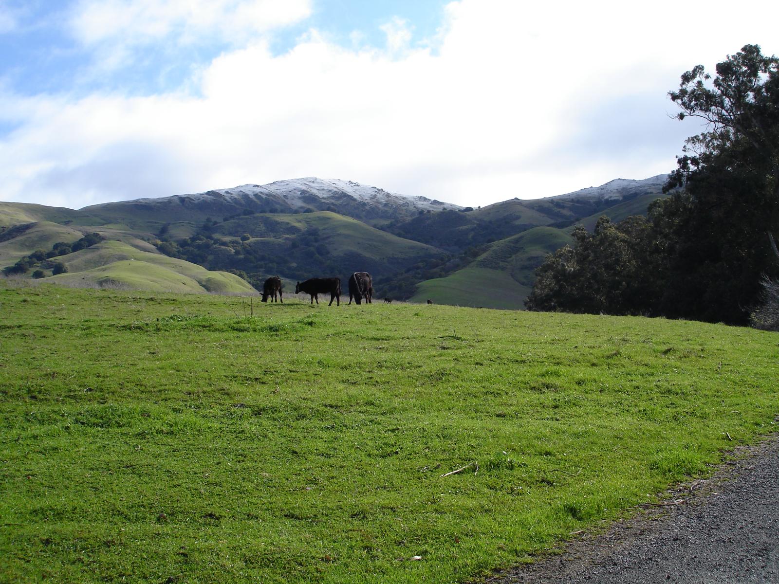 DSC00533