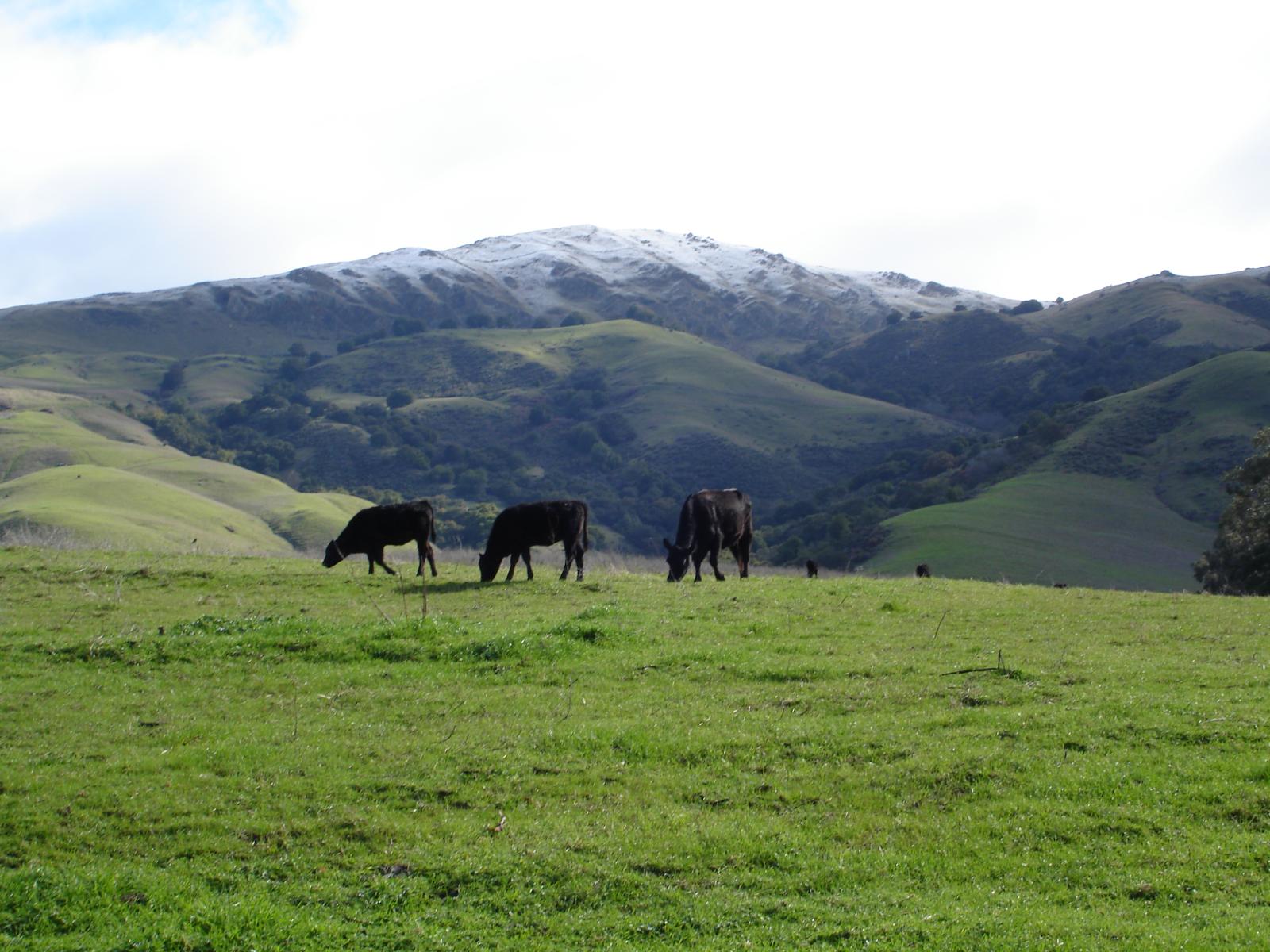 DSC00536