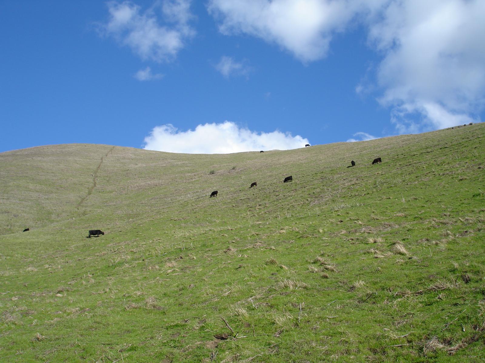 DSC00633