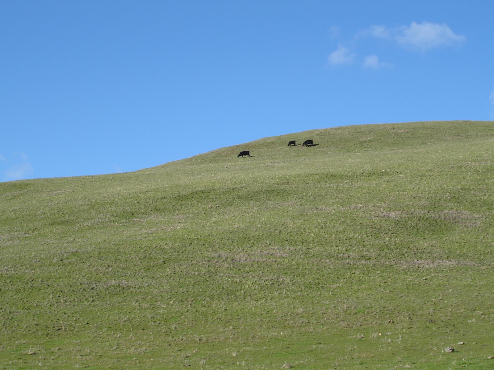 DSC00638