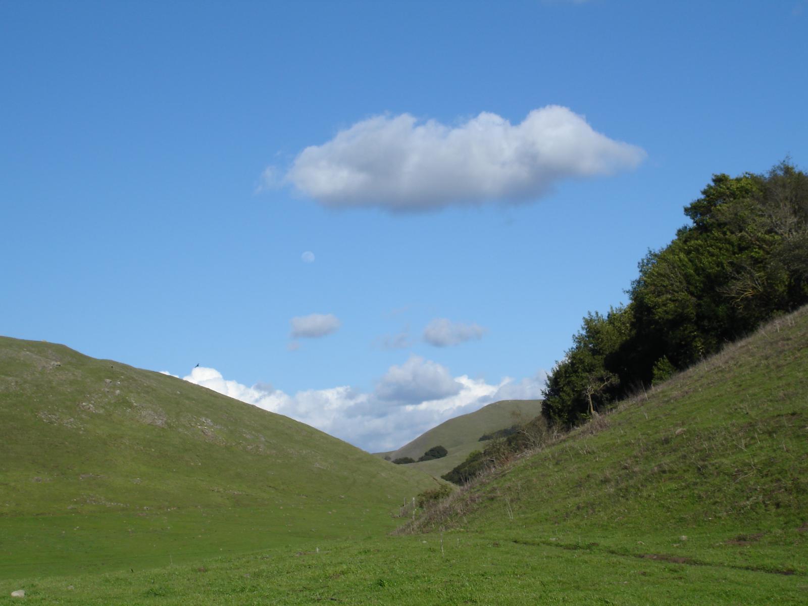 DSC00641