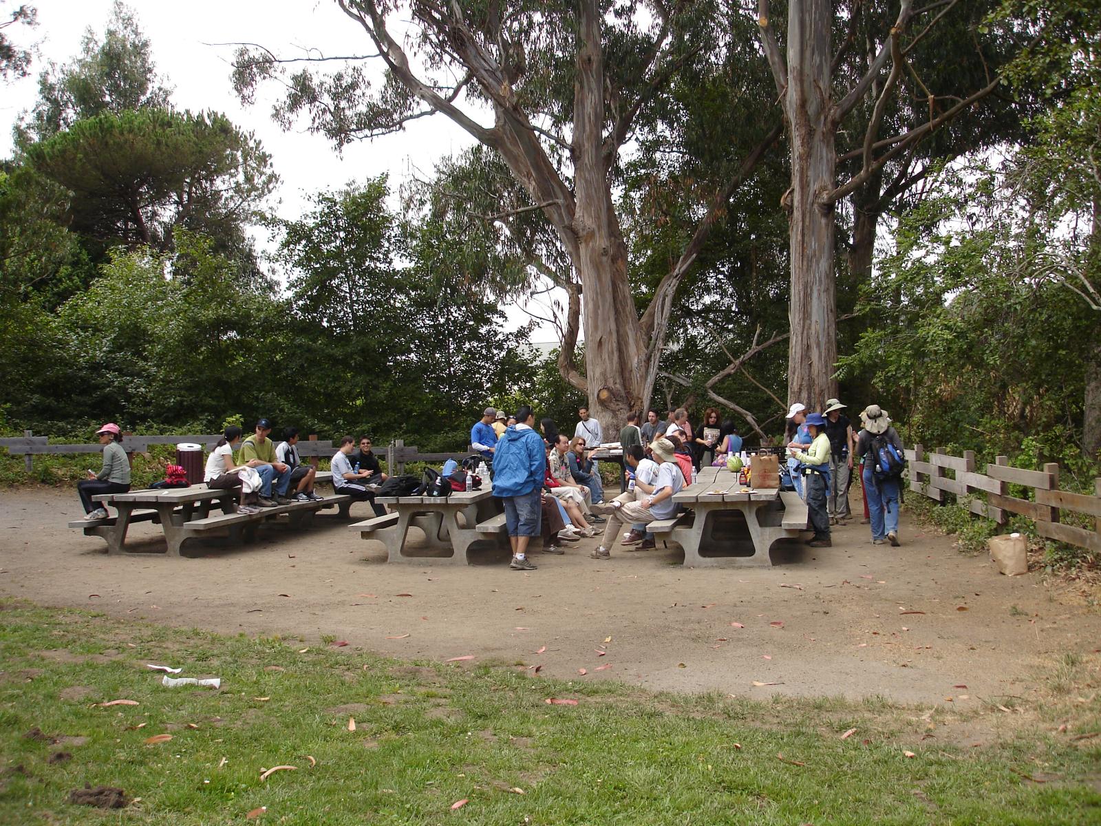 DSC03227