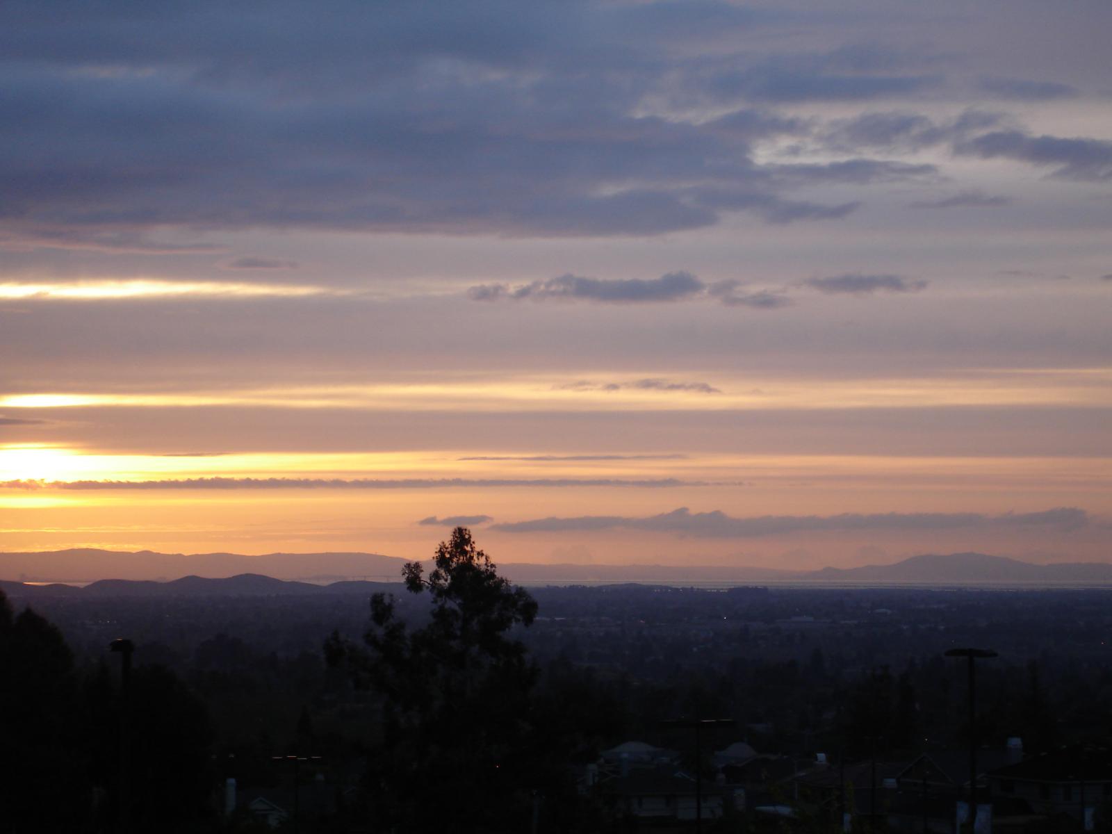 DSC00767