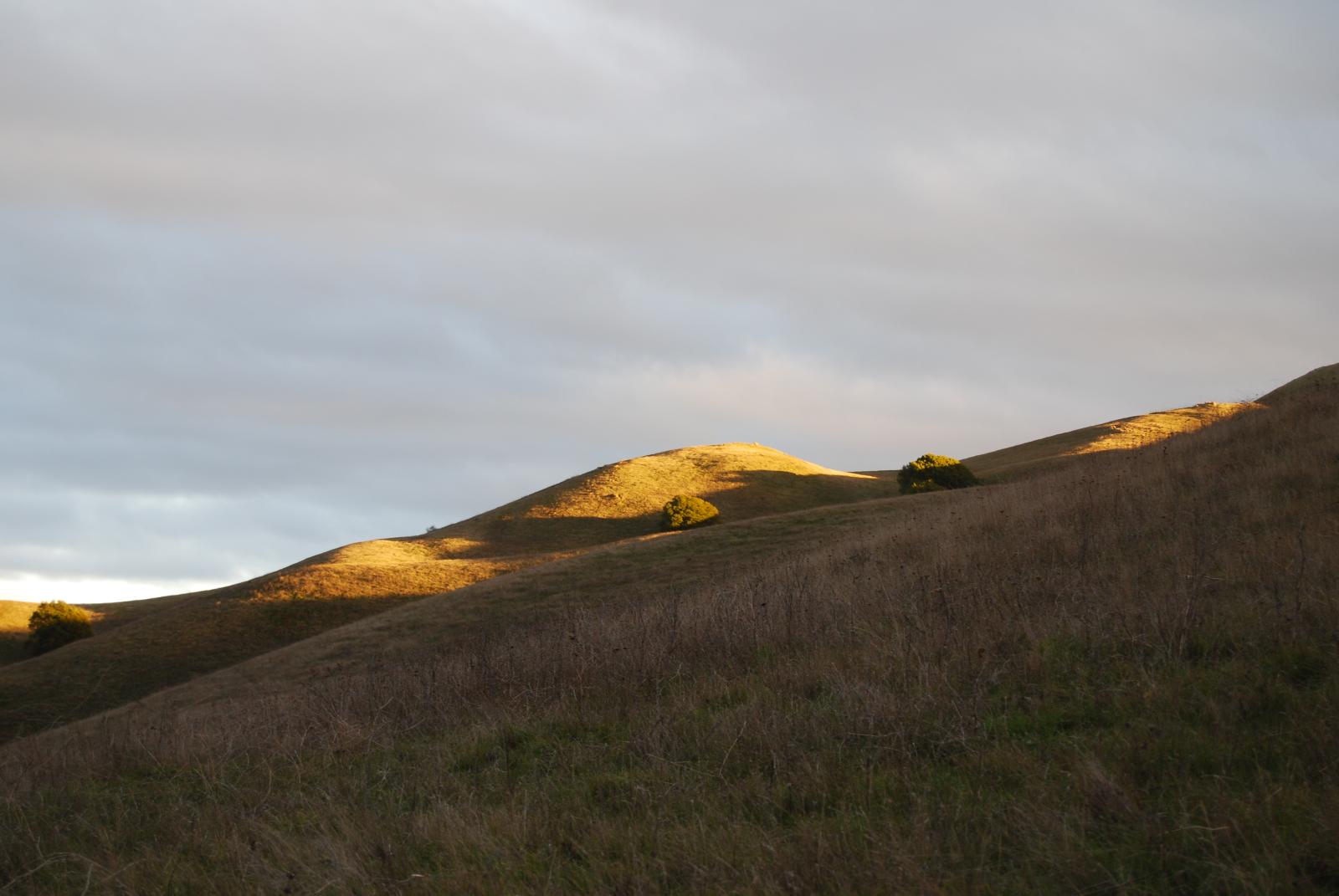 DSC 0040