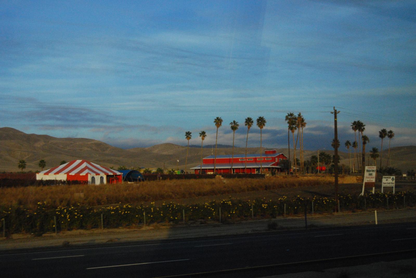 DSC 0035