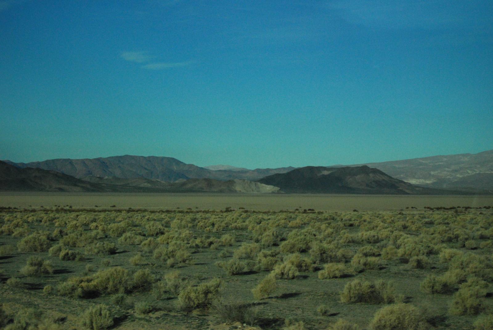 DSC 0059