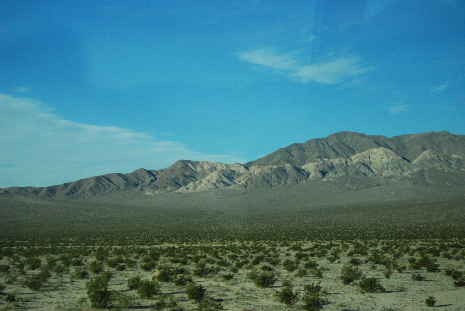 DSC 0071