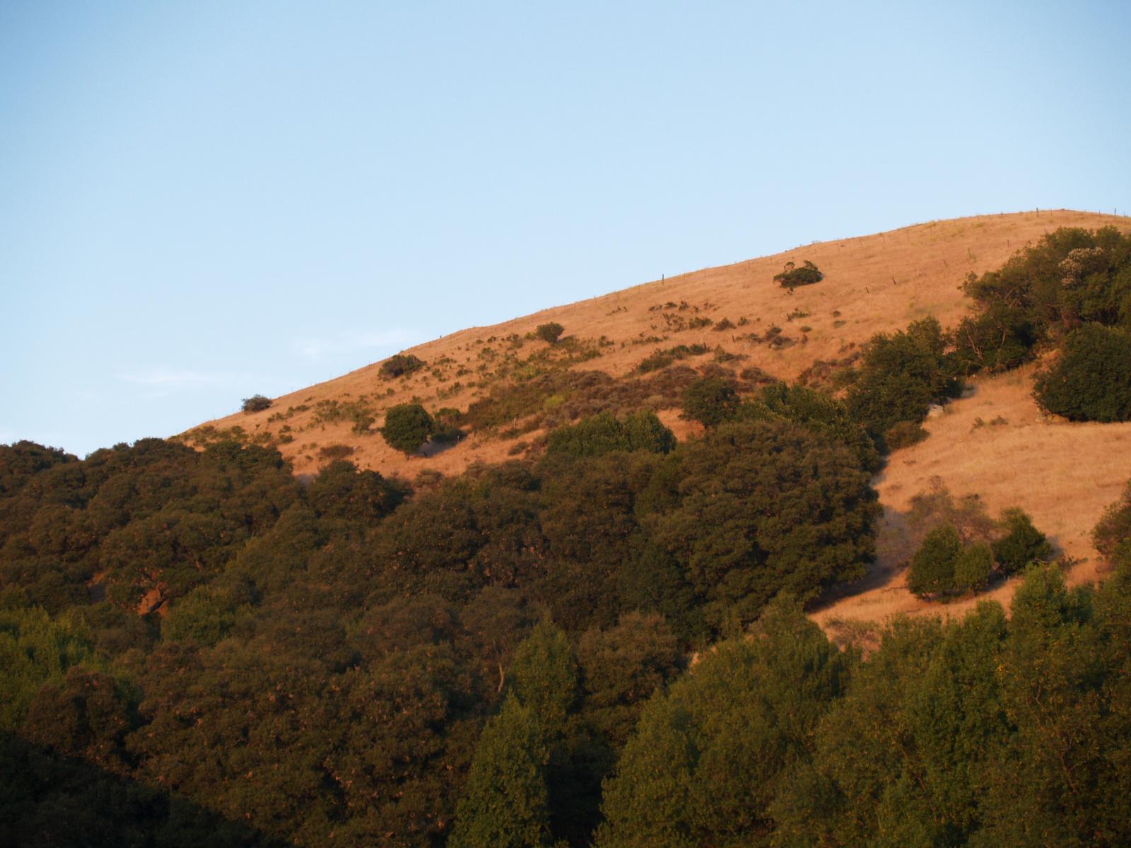 P6091484