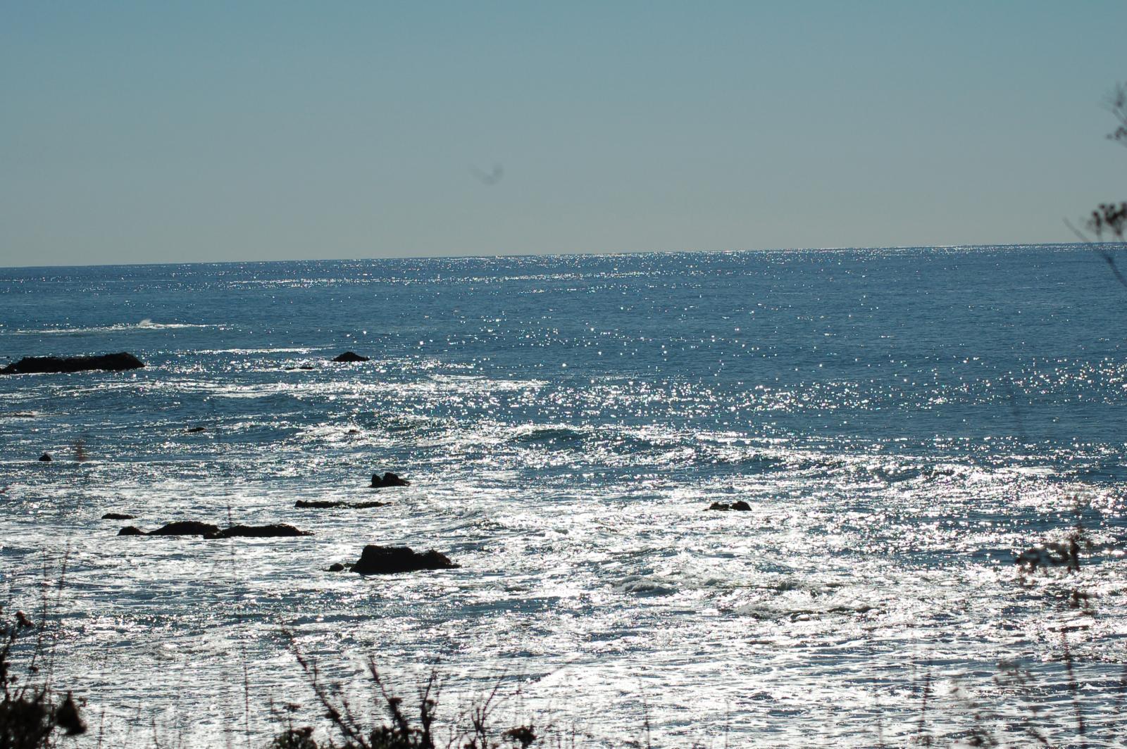 DSC 1353