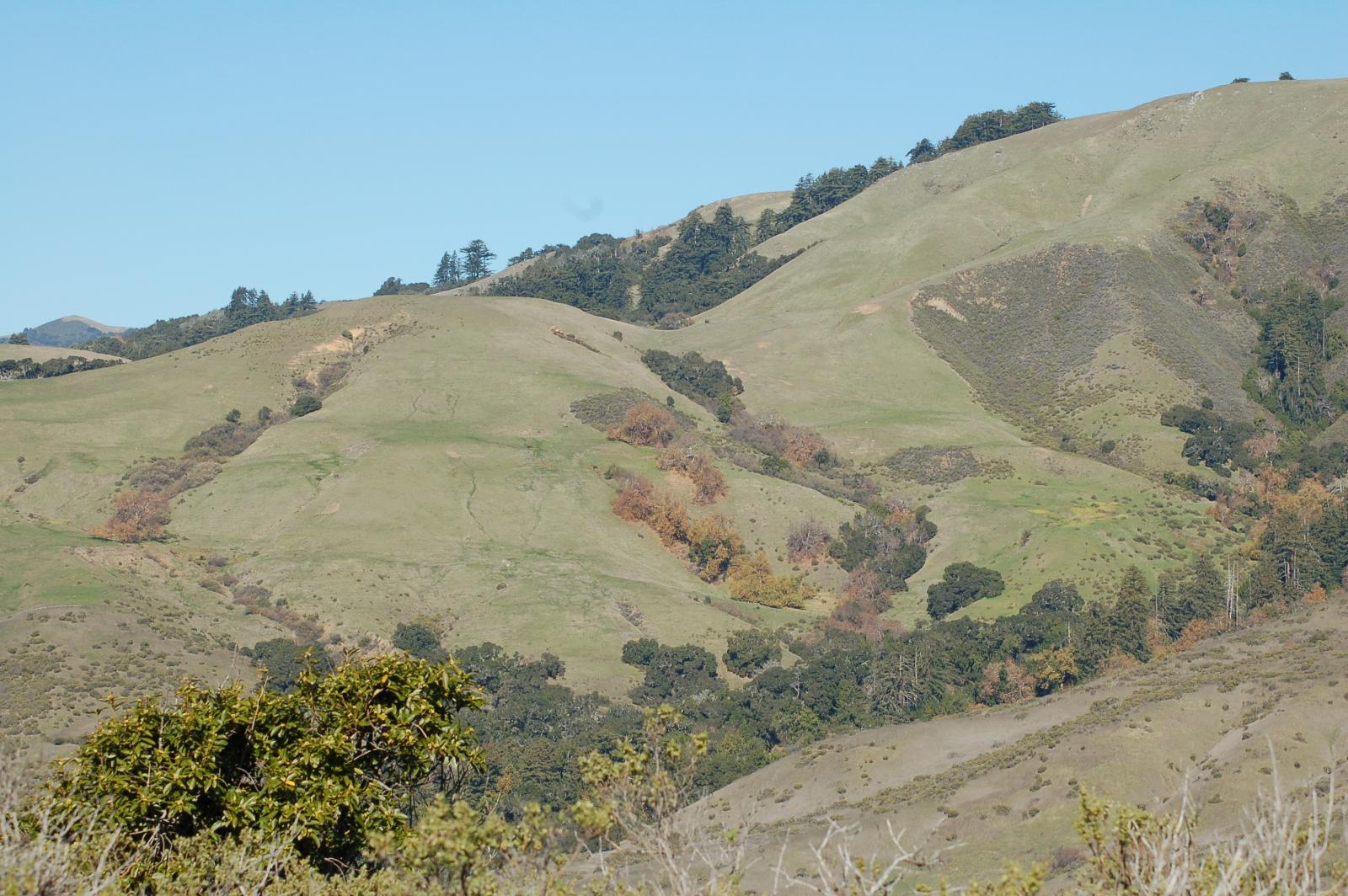 DSC 1411