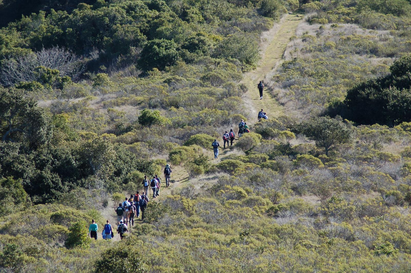DSC 1461