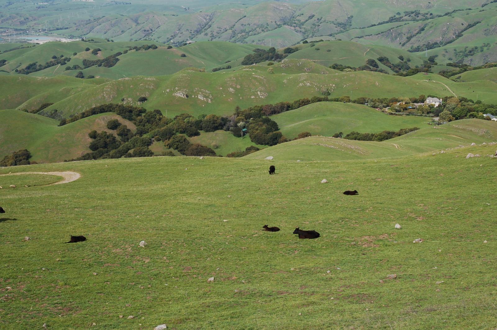 DSC 3005