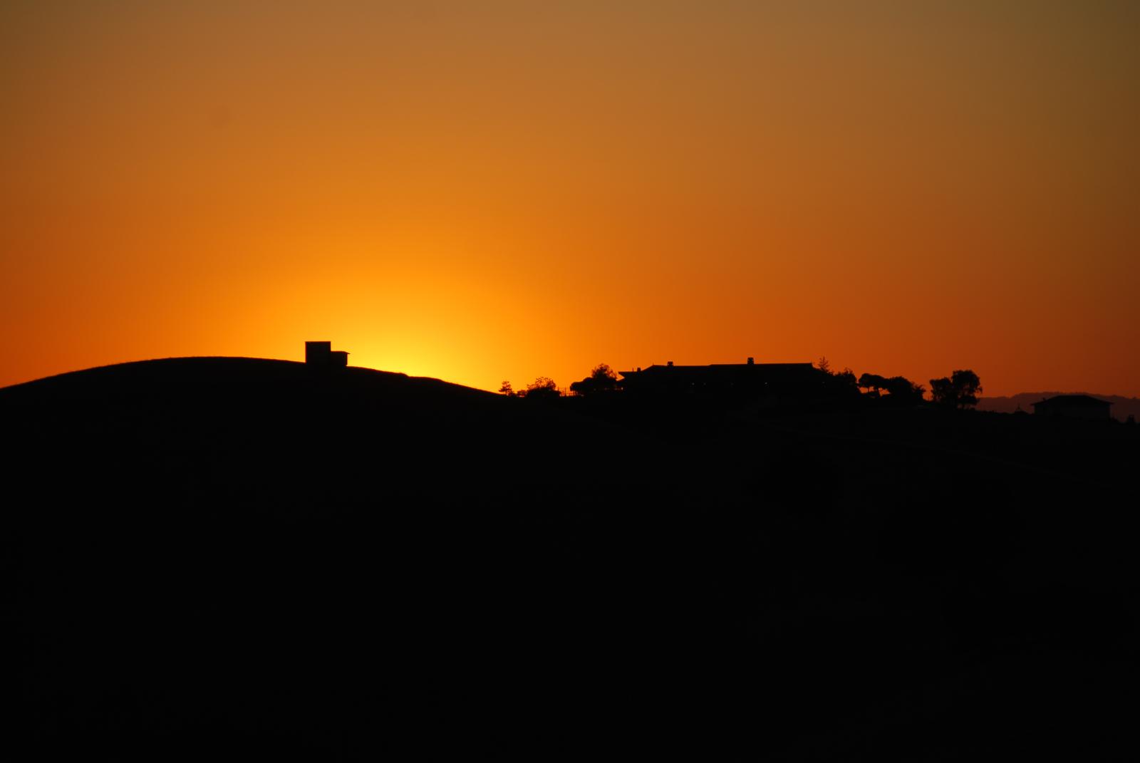 DSC 0109