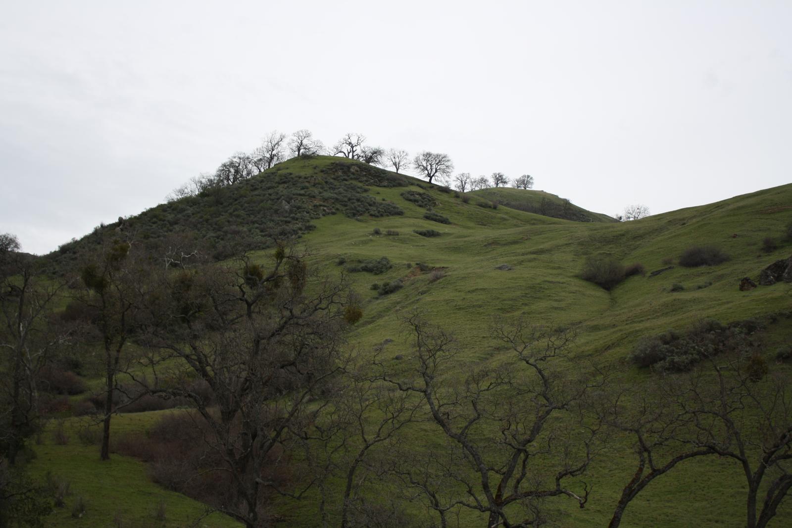 IMG 0984