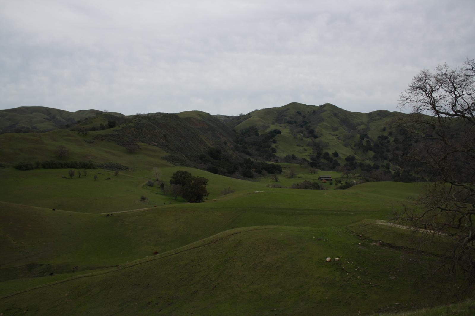 IMG 0989