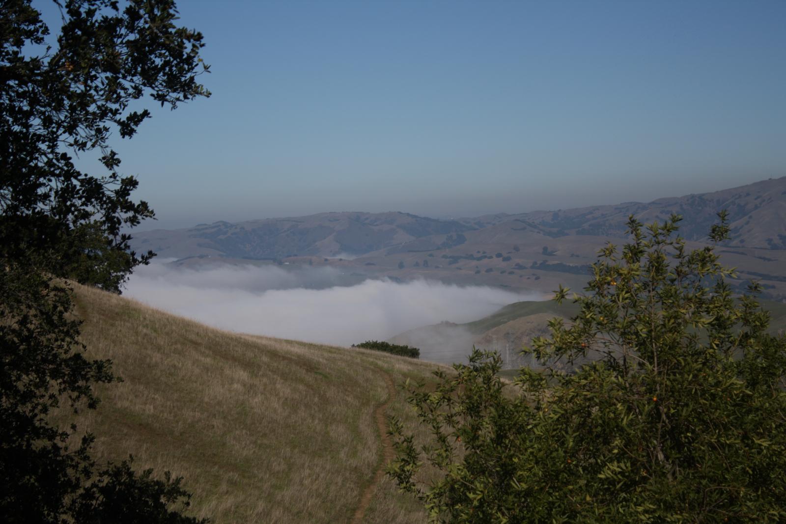 IMG 4757