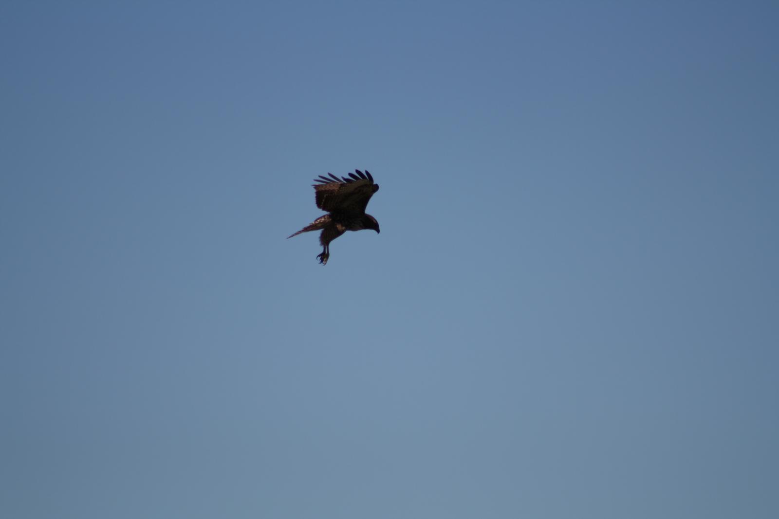 IMG 4876