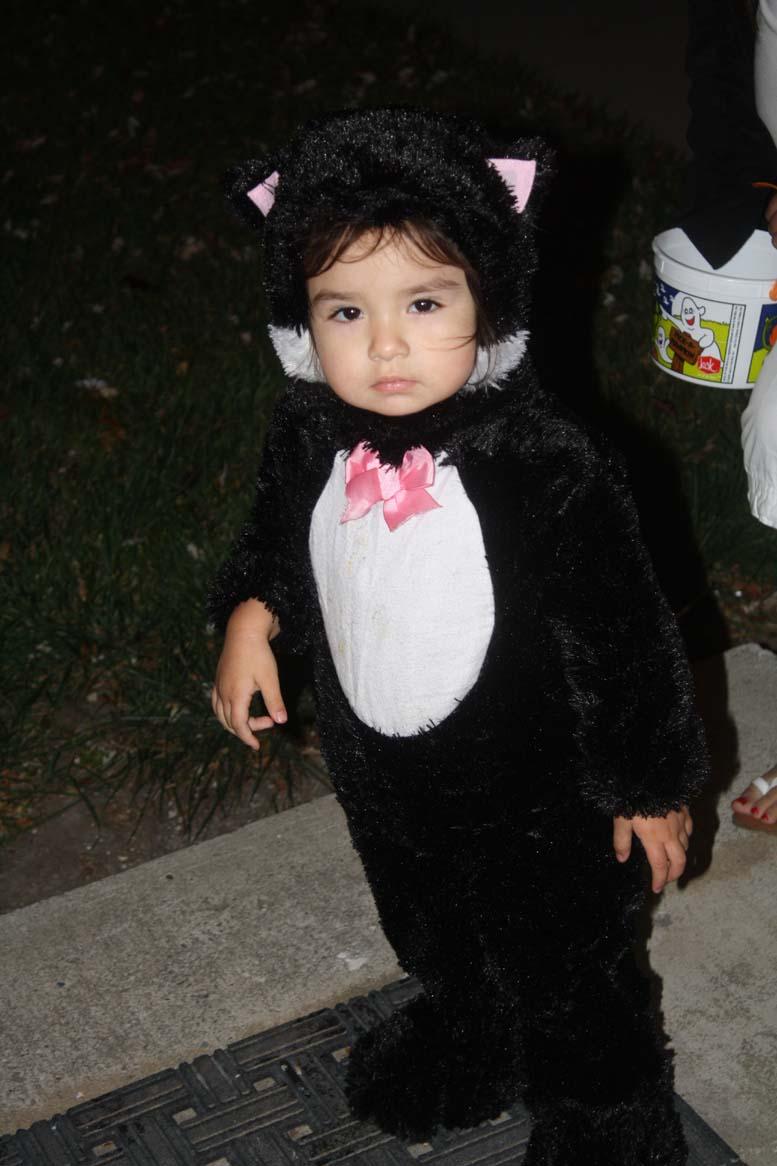 IMG 4998-baby