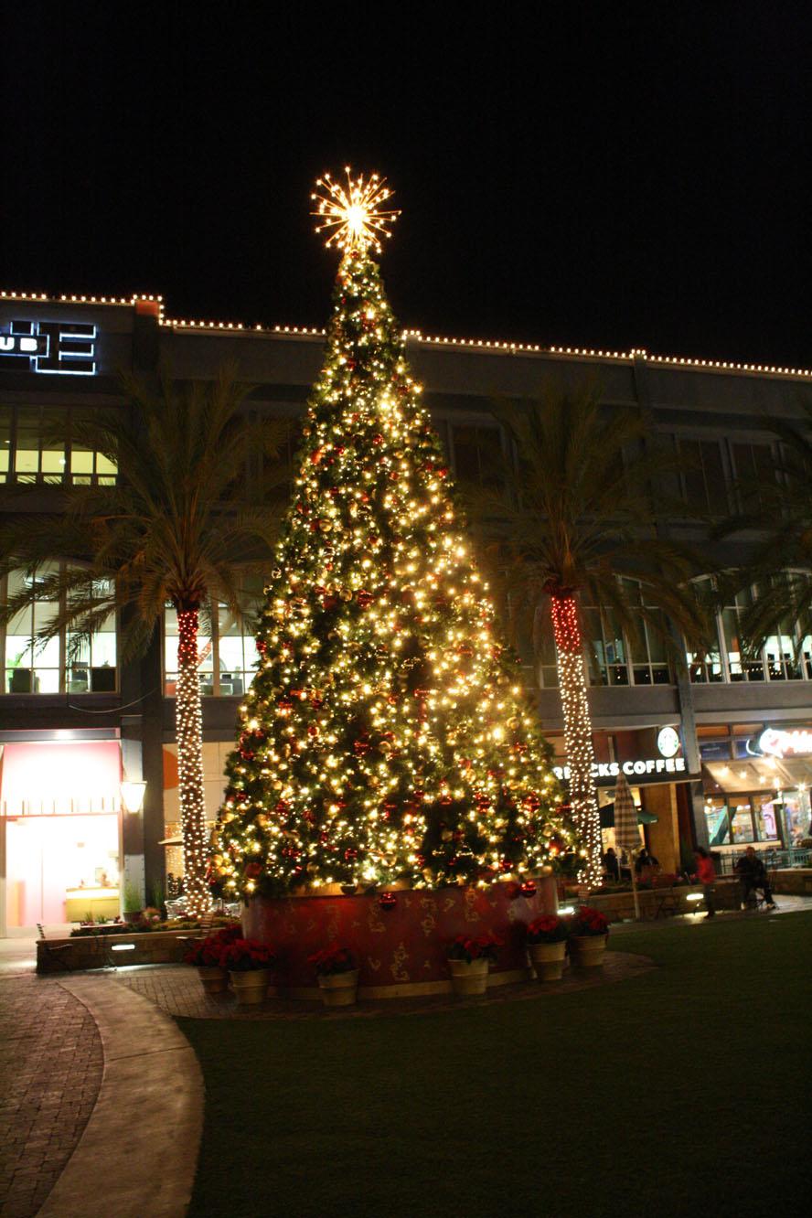 christmasTree2009