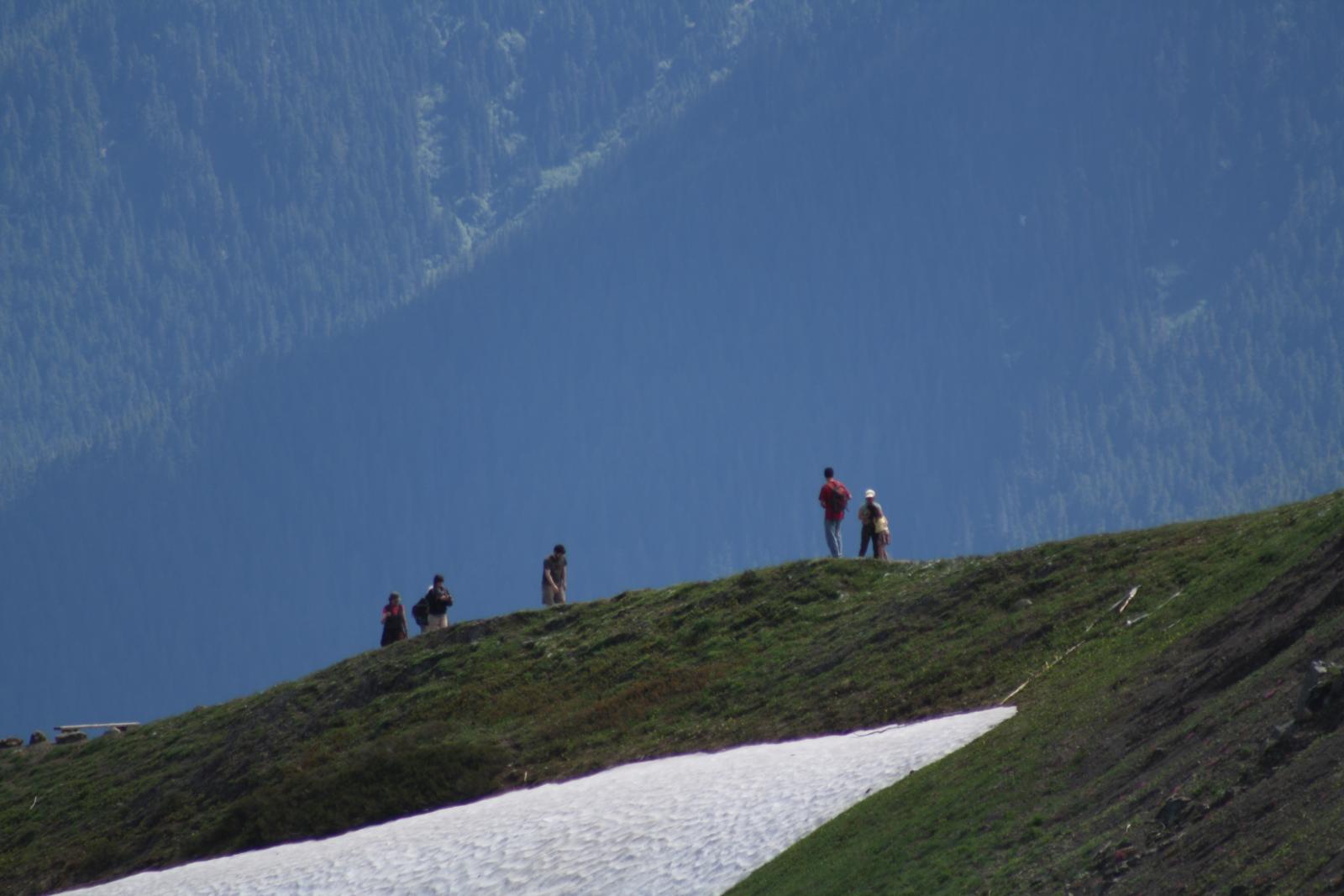 IMG 7326