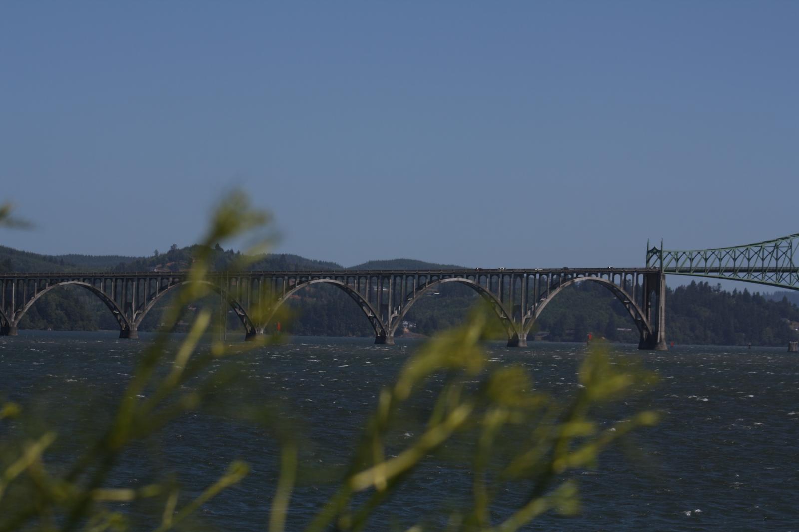 IMG 7486