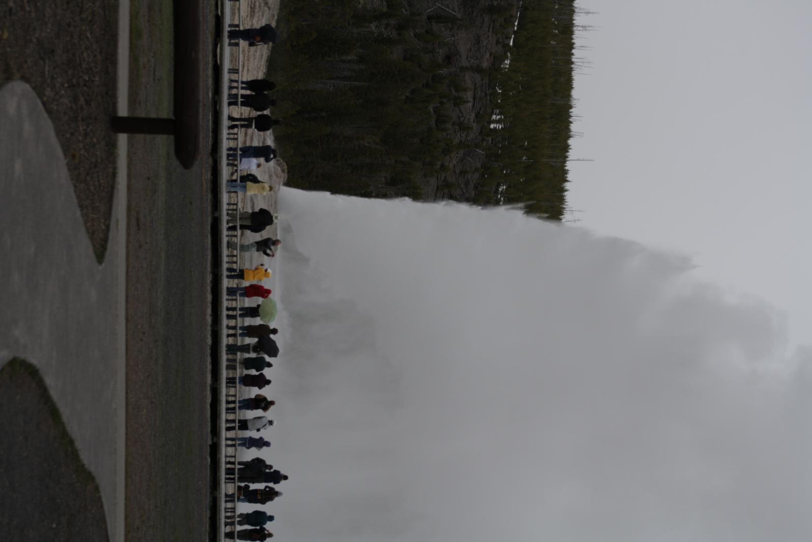 IMG 0462